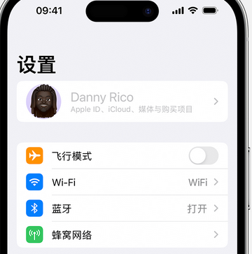 定海appleID维修服务iPhone设置中Apple ID显示为灰色无法使用