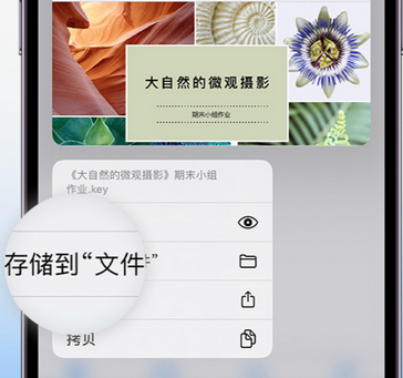 定海apple维修中心分享iPhone文件应用中存储和找到下载文件