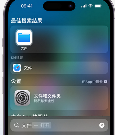 定海apple维修中心分享iPhone文件应用中存储和找到下载文件 