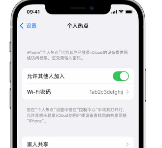 定海apple服务站点分享iPhone上个人热点丢失了怎么办