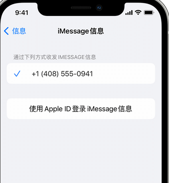 定海apple维修iPhone上无法正常发送iMessage信息 