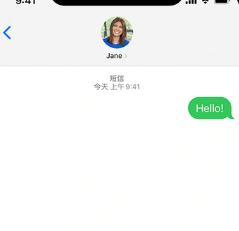 定海apple维修iPhone上无法正常发送iMessage信息