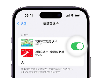 定海apple维修点分享iPhone上更换Apple Pay快捷交通卡手绘卡面 