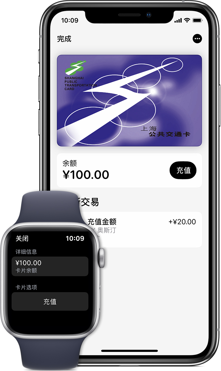 定海苹果手机维修分享:用 Apple Pay 刷交通卡有哪些优势？如何设置和使用？ 