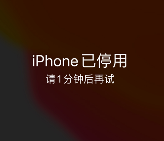 定海苹果手机维修分享:iPhone 显示“不可用”或“已停用”怎么办？还能保留数据吗？ 