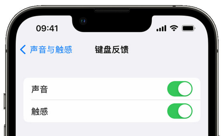 定海苹果手机维修分享iPhone 14触感键盘使用方法 