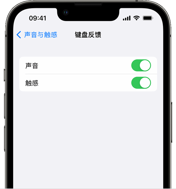 定海苹果14维修店分享如何在 iPhone 14 机型中使用触感键盘 