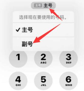 定海苹果14维修店分享iPhone 14 Pro Max使用副卡打电话的方法 