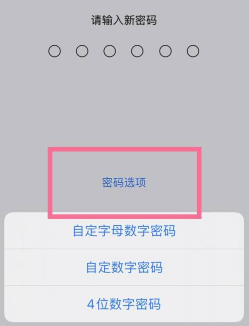 定海苹果14维修分享iPhone 14plus设置密码的方法 