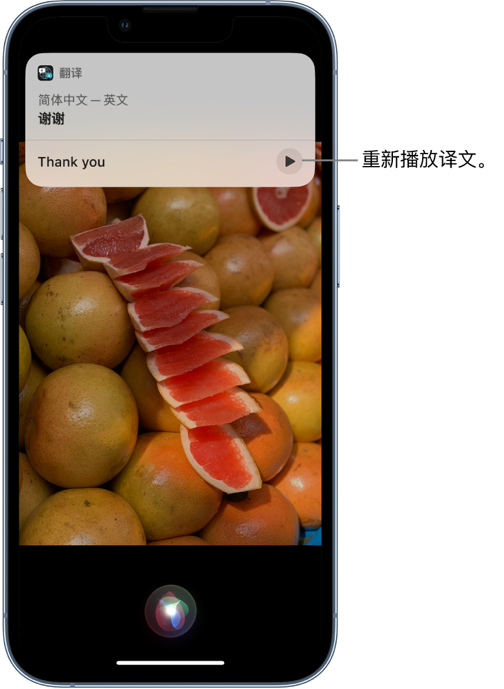 定海苹果14维修分享 iPhone 14 机型中使用 Siri：了解 Siri 能帮你做什么 