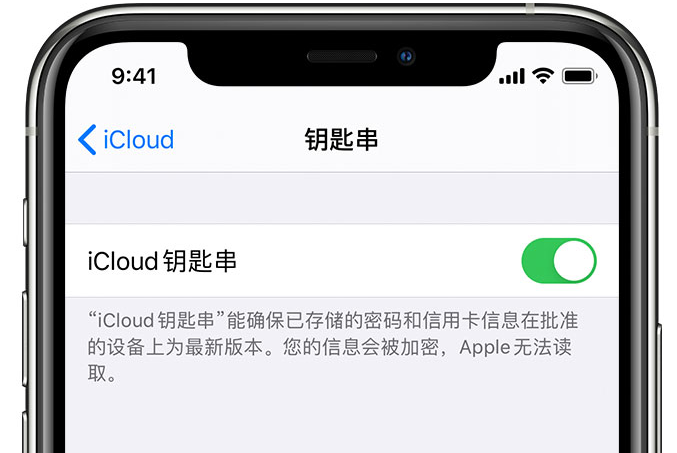 定海苹果手机维修分享在 iPhone 上开启 iCloud 钥匙串之后会储存哪些信息 