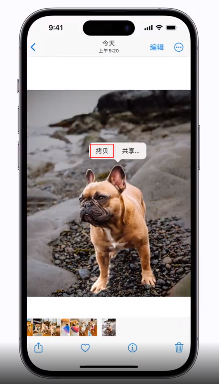 定海苹果手机维修分享 iOS 16 自带一键抠图功能 