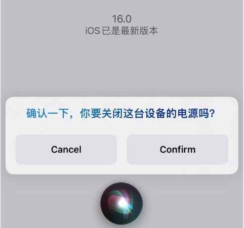定海苹果手机维修分享iOS 16 Beta5为什么要取消Siri语音关机功能 