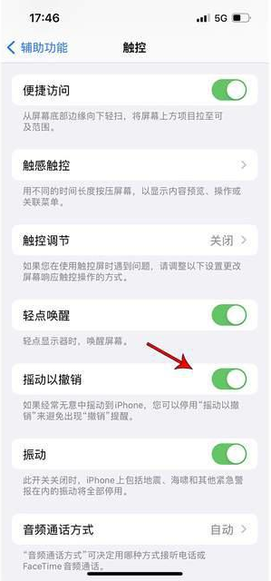 定海苹果手机维修分享iPhone手机如何设置摇一摇删除文字 