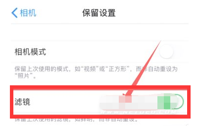 定海苹果13维修分享iPhone13拍照有绿点是怎么回事 