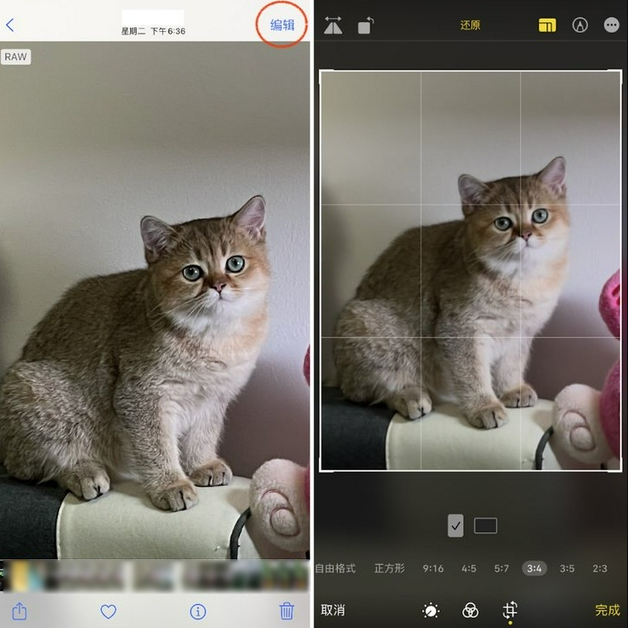 定海苹果手机维修分享苹果 iPhone 12 Pro 拍照会过度锐化 