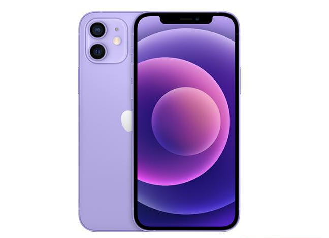 定海苹果手机维修分享现阶段要不要入手紫色版iPhone12 