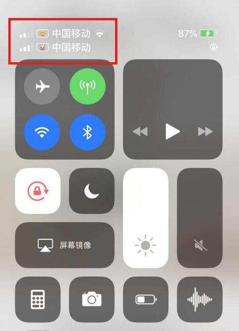 定海苹果手机维修分享为 iPhone 12 双卡设置标签 